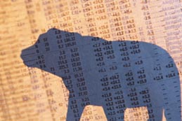bull and prices
