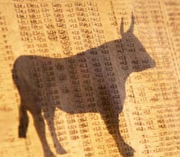 bull and prices