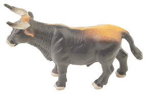 market symbol